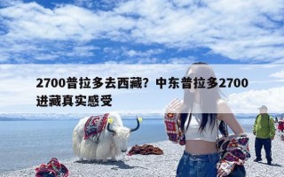 2700普拉多去西藏？中东普拉多2700进藏真实感受