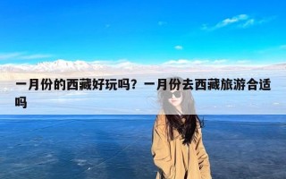 一月份的西藏好玩吗？一月份去西藏旅游合适吗
