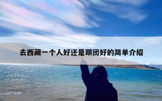 去西藏一个人好还是跟团好的简单介绍