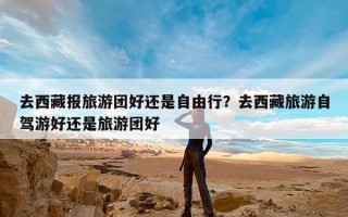 去西藏报旅游团好还是自由行？去西藏旅游自驾游好还是旅游团好