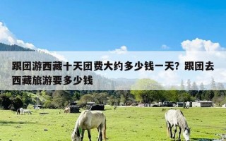 跟团游西藏十天团费大约多少钱一天？跟团去西藏旅游要多少钱