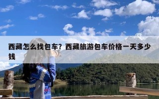 西藏怎么找包车？西藏旅游包车价格一天多少钱
