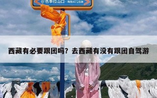 西藏有必要跟团吗？去西藏有没有跟团自驾游
