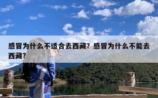 感冒为什么不适合去西藏？感冒为什么不能去西藏?