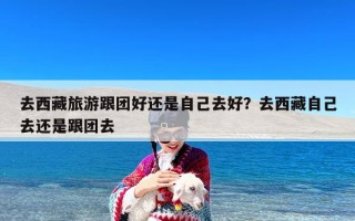 去西藏旅游跟团好还是自己去好？去西藏自己去还是跟团去