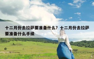 十二月份去拉萨要准备什么？十二月份去拉萨要准备什么手续