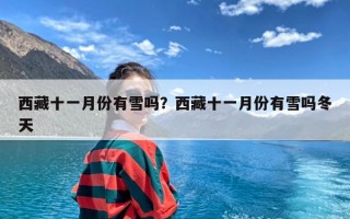 西藏十一月份有雪吗？西藏十一月份有雪吗冬天