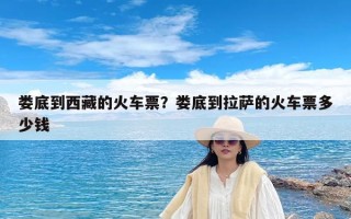 娄底到西藏的火车票？娄底到拉萨的火车票多少钱