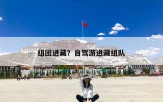 组团进藏？自驾游进藏组队