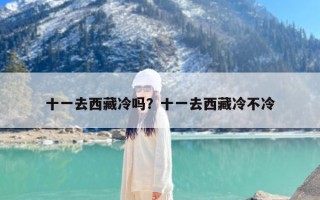 十一去西藏冷吗？十一去西藏冷不冷