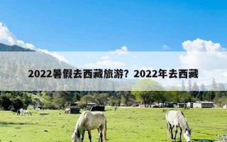 2022暑假去西藏旅游？2022年去西藏
