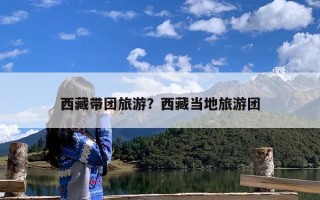 西藏带团旅游？西藏当地旅游团