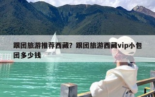跟团旅游推荐西藏？跟团旅游西藏vip小包团多少钱