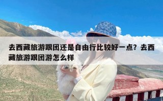 去西藏旅游跟团还是自由行比较好一点？去西藏旅游跟团游怎么样