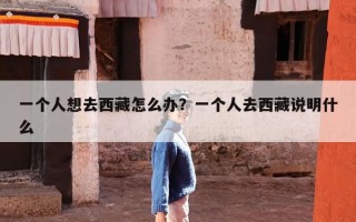 一个人想去西藏怎么办？一个人去西藏说明什么