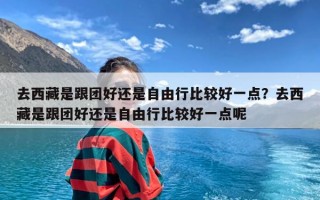 去西藏是跟团好还是自由行比较好一点？去西藏是跟团好还是自由行比较好一点呢