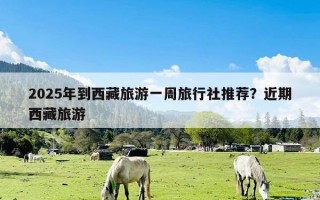 2025年到西藏旅游一周旅行社推荐？近期西藏旅游