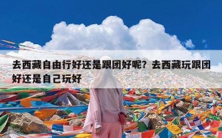 去西藏自由行好还是跟团好呢？去西藏玩跟团好还是自己玩好