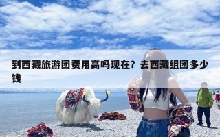 到西藏旅游团费用高吗现在？去西藏组团多少钱