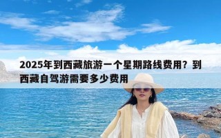 2025年到西藏旅游一个星期路线费用？到西藏自驾游需要多少费用