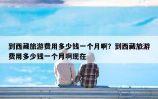 到西藏旅游费用多少钱一个月啊？到西藏旅游费用多少钱一个月啊现在