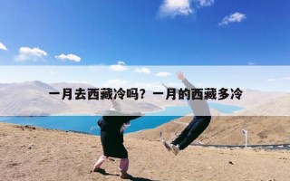 一月去西藏冷吗？一月的西藏多冷