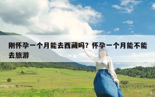 刚怀孕一个月能去西藏吗？怀孕一个月能不能去旅游