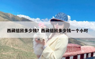 西藏组团多少钱？西藏组团多少钱一个小时