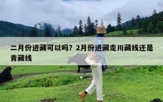 二月份进藏可以吗？2月份进藏走川藏线还是青藏线