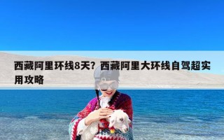 西藏阿里环线8天？西藏阿里大环线自驾超实用攻略