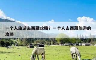 一个人旅游去西藏攻略？一个人去西藏旅游的攻略
