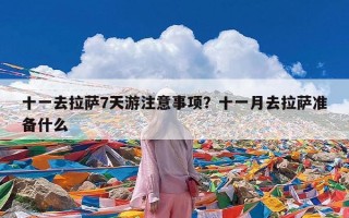 十一去拉萨7天游注意事项？十一月去拉萨准备什么