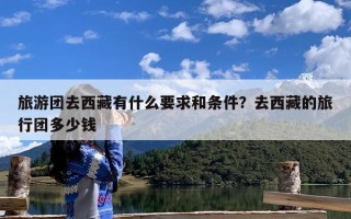 旅游团去西藏有什么要求和条件？去西藏的旅行团多少钱