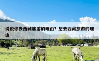 说说你去西藏旅游的理由？想去西藏旅游的理由