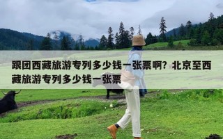 跟团西藏旅游专列多少钱一张票啊？北京至西藏旅游专列多少钱一张票