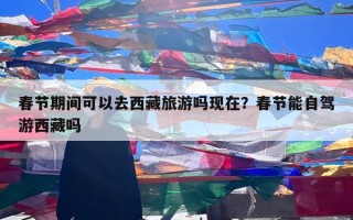 春节期间可以去西藏旅游吗现在？春节能自驾游西藏吗