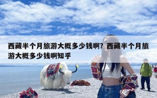 西藏半个月旅游大概多少钱啊？西藏半个月旅游大概多少钱啊知乎