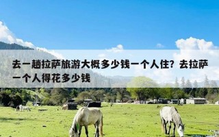 去一趟拉萨旅游大概多少钱一个人住？去拉萨一个人得花多少钱