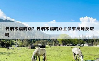 去纳木错的路？去纳木错的路上会有高原反应吗
