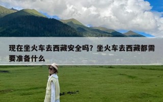 现在坐火车去西藏安全吗？坐火车去西藏都需要准备什么