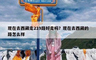 现在去西藏走219路好走吗？现在去西藏的路怎么样
