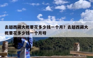 去趟西藏大概要花多少钱一个月？去趟西藏大概要花多少钱一个月呀