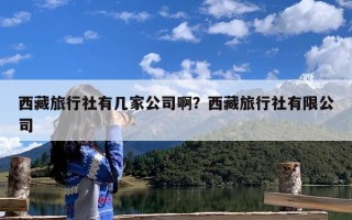 西藏旅行社有几家公司啊？西藏旅行社有限公司