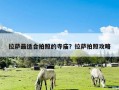 拉萨最适合拍照的寺庙？拉萨拍照攻略