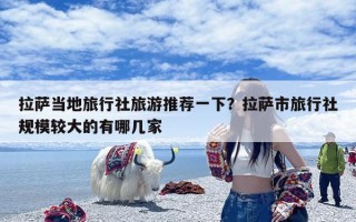 拉萨当地旅行社旅游推荐一下？拉萨市旅行社规模较大的有哪几家