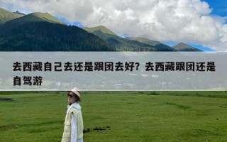 去西藏自己去还是跟团去好？去西藏跟团还是自驾游
