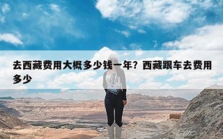 去西藏费用大概多少钱一年？西藏跟车去费用多少