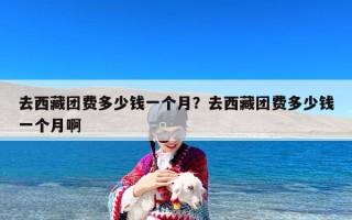 去西藏团费多少钱一个月？去西藏团费多少钱一个月啊