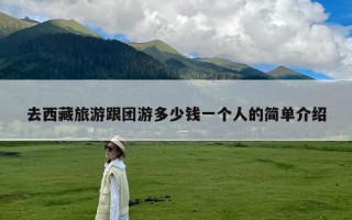 去西藏旅游跟团游多少钱一个人的简单介绍