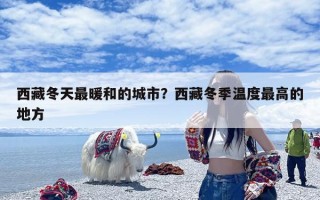 西藏冬天最暖和的城市？西藏冬季温度最高的地方
